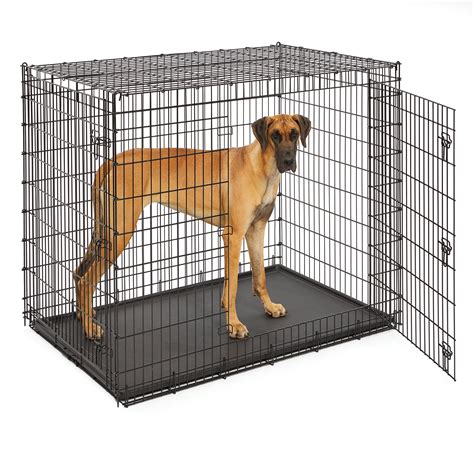 metal dog crates for sale